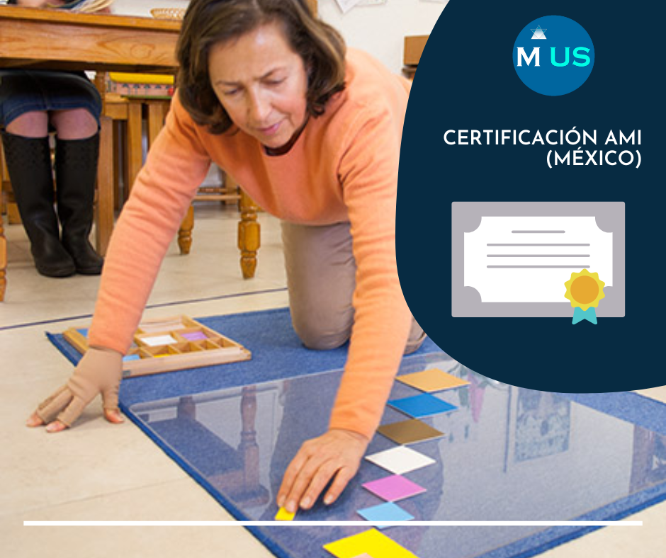 Certificación AMI (México)
